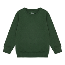 BIRKHOLM Sweatshirt Platan Grøn